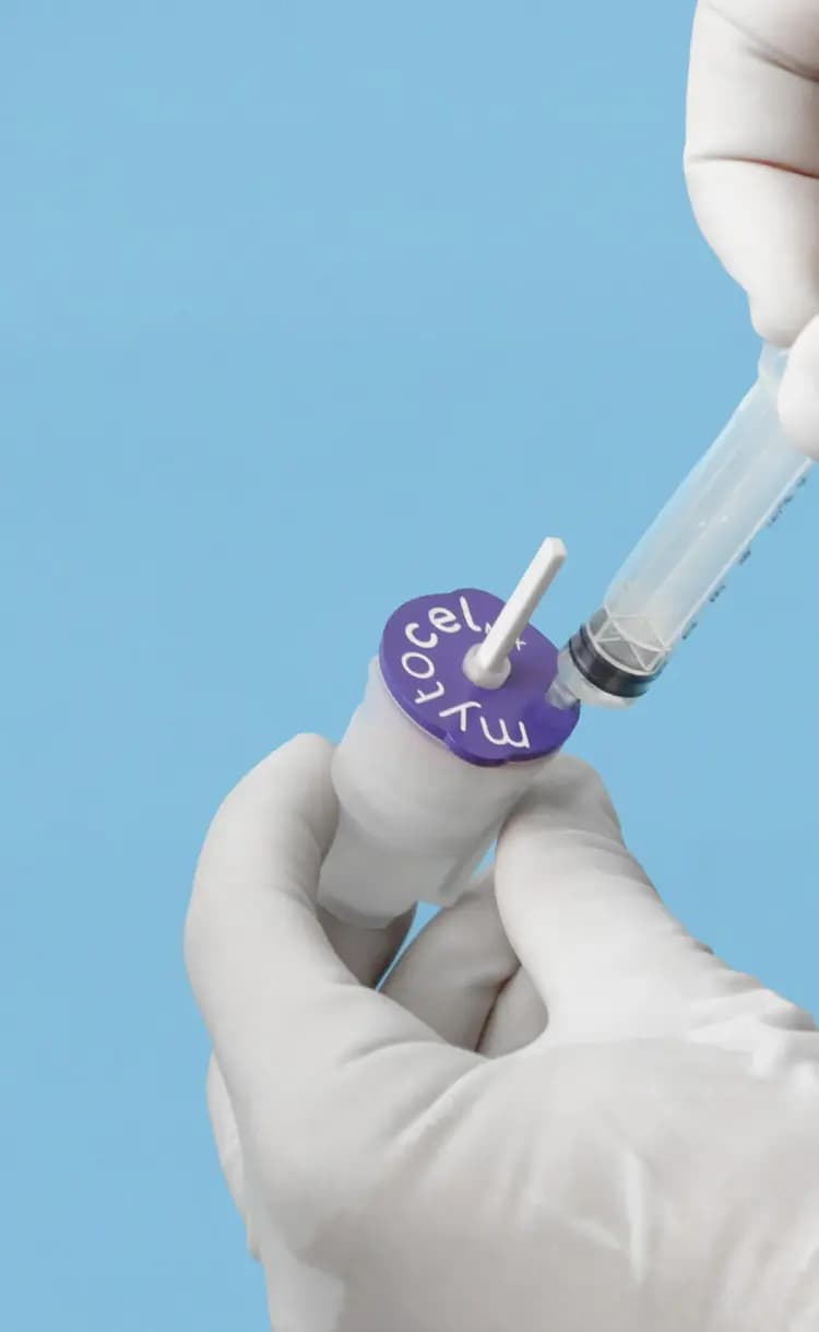 Professional preparation of the Rigeneracons device